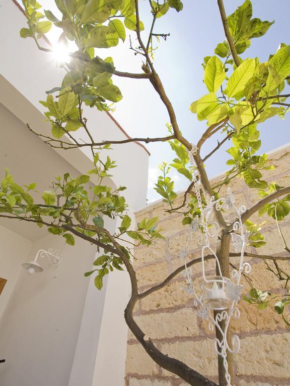 B&B Viro Campi Salentina Екстериор снимка