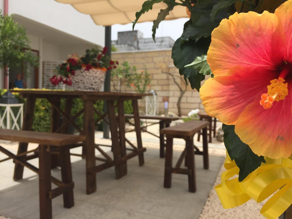 B&B Viro Campi Salentina Екстериор снимка
